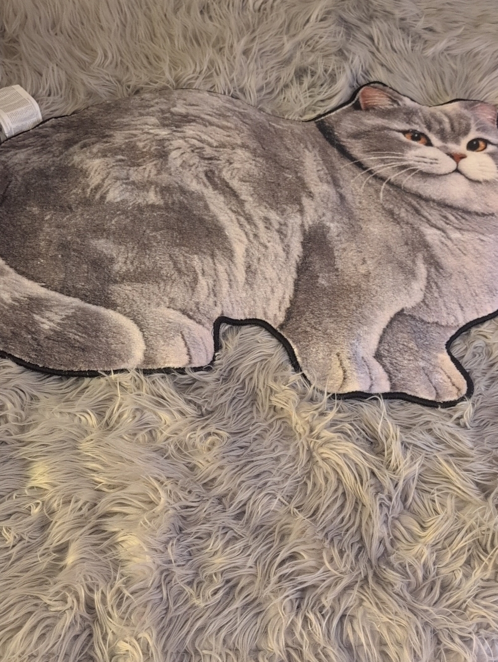 New Kitty Cat Rugs - Picture 7 of 9
